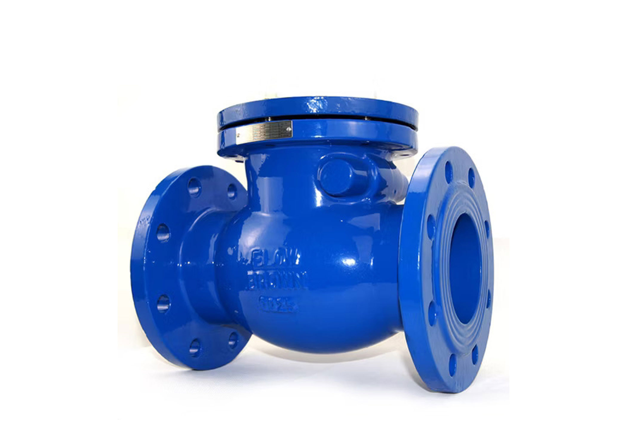 Check Valve Manufacturers and Suppliers in Pune